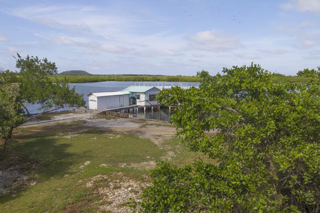 Sea Eye Hotel - Laguna Building Utila Exterior photo